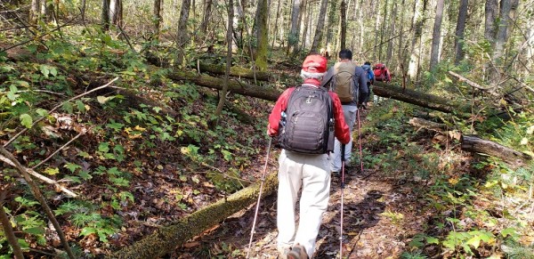 20201101_104419.jpg