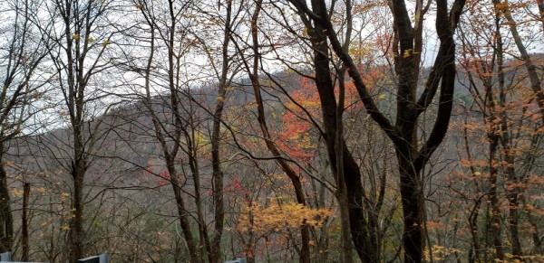 20201122_124418.jpg